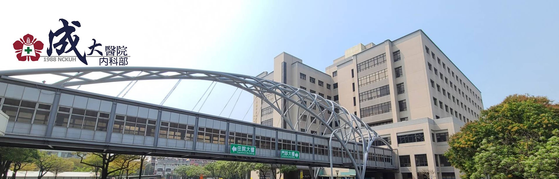 成大醫院內科部